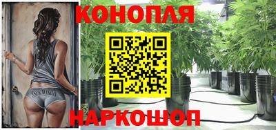 сатива Рыбинск