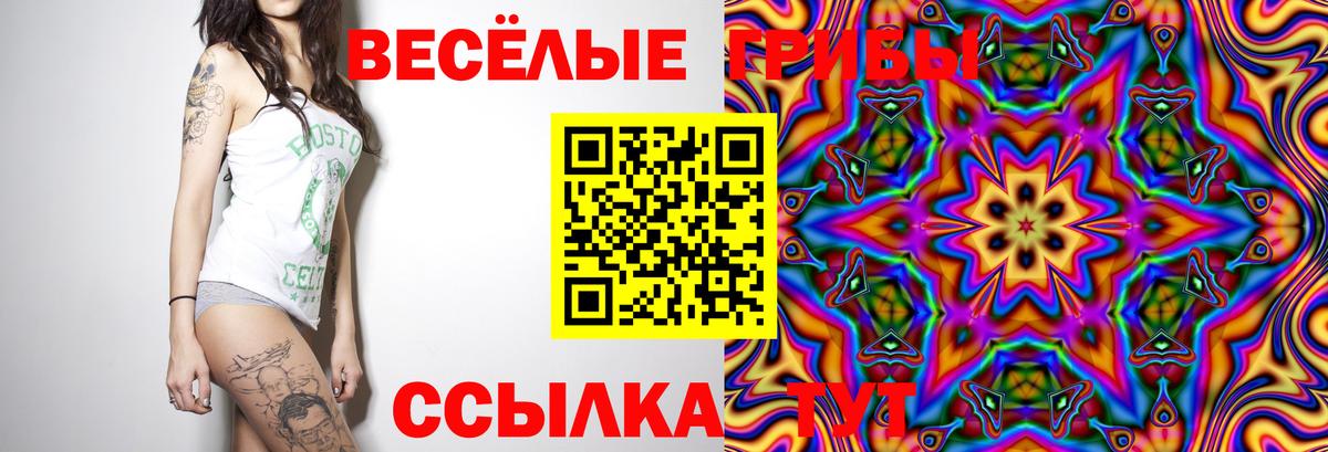 как найти   Вход с VPN  Белогорск  Псилоцибиновые грибы ЛСД 